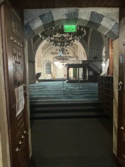 IMG_2549.jpeg