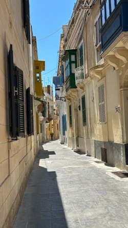IMG_5395.JPEG