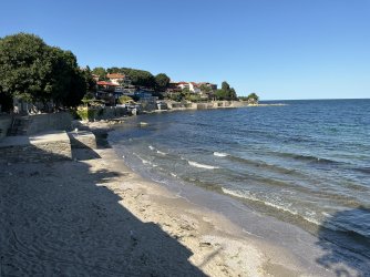 IMG_2612.jpeg