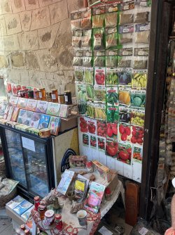 IMG_2601.jpeg