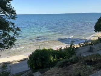 IMG_2608.jpeg