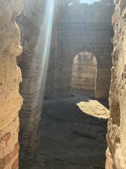 IMG_2597.jpeg