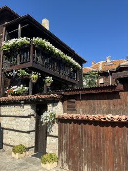 IMG_2589.jpeg