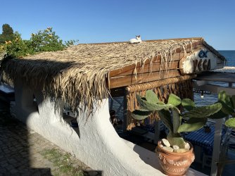 IMG_2613.jpeg