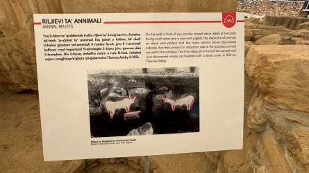 IMG_5535.JPEG