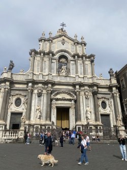 IMG_4640.jpeg