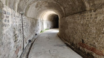 v77.jpg