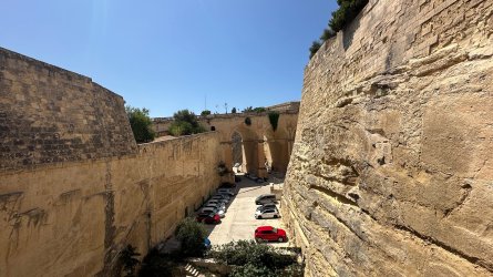 IMG_5557.JPEG