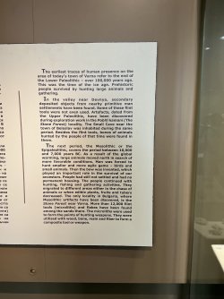 IMG_2632.jpeg