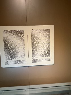 IMG_2640.jpeg