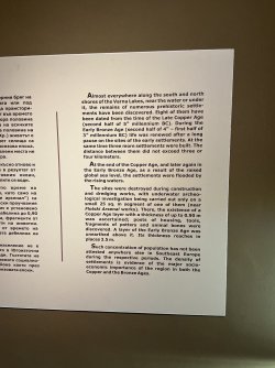 IMG_2666.jpeg