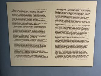 IMG_2686.jpeg