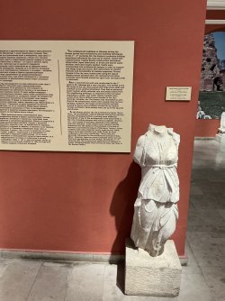 IMG_2701.jpeg