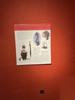 IMG_2765.jpeg