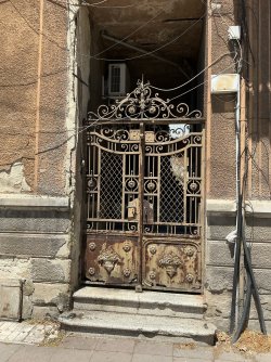 IMG_2774.jpeg