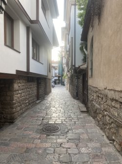 IMG_4731.jpeg