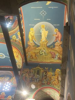IMG_4747.jpeg