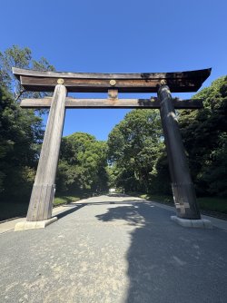 IMG_1586.jpeg