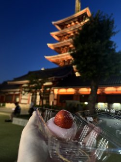 IMG_1620.jpeg