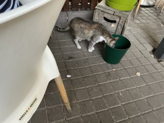 IMG_2931.jpeg