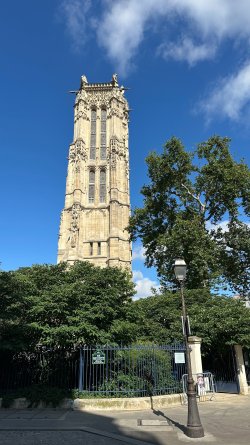 IMG_5667.JPEG