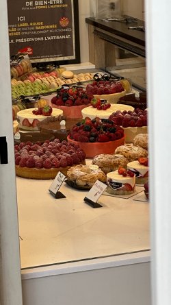 IMG_5672.JPEG