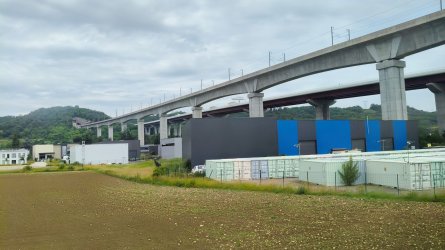 p50.jpg