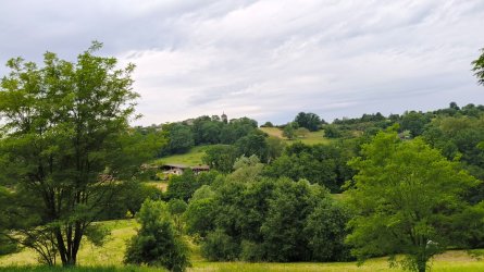 p55.jpg