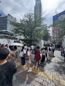 IMG_1667.jpeg