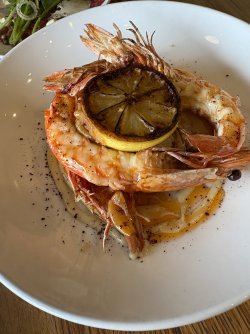 IMG_1171.jpeg