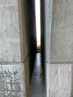 IMG_2829.jpeg