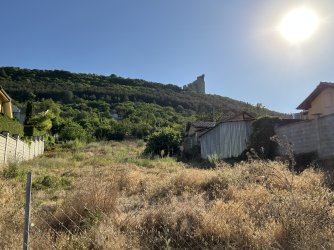 IMG_2792.jpeg