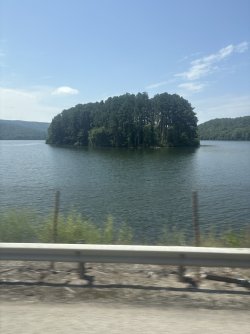 19779230-6094-4914-8097-C3261BD7AE64_1_105_c.jpeg