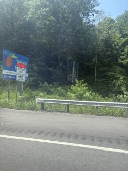 D081C48C-2097-49C1-AF51-8F91F5063467_1_105_c.jpeg