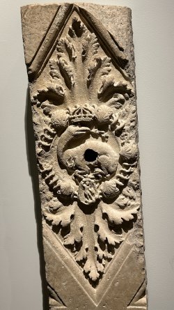 IMG_5768.JPEG