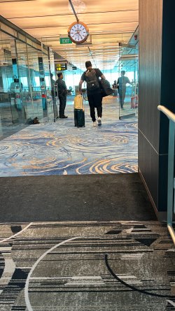 IMG_6037.JPEG