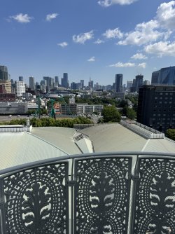 IMG_8265.JPEG