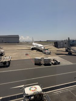 IMG_8268.JPEG