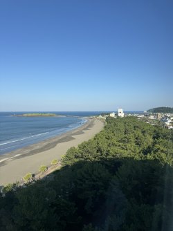 IMG_8375.JPEG