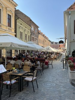 IMG_2973.jpeg