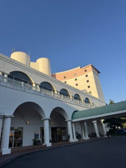 IMG_8377.JPEG