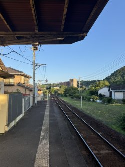 IMG_8381.JPEG