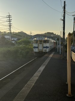 IMG_8385.JPEG