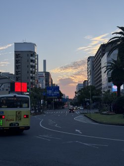 IMG_8388.JPEG
