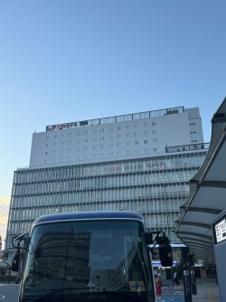 IMG_8390.JPEG
