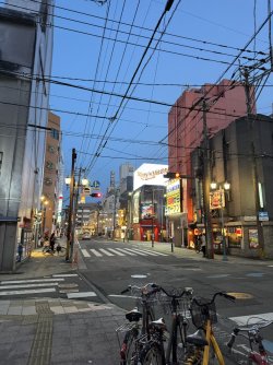 IMG_8393.JPEG