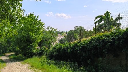 p83.jpg