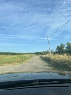 IMG_7572.jpeg
