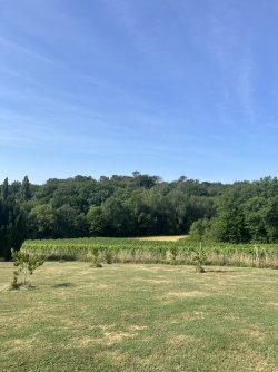 IMG_7574.jpeg