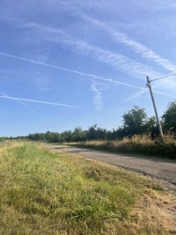 IMG_7569.jpeg